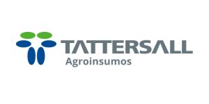 Diseño sin título (87)